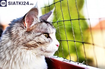 Siatki Kluczbork - Siatka na balkony dla kota i zabezpieczenie dzieci dla terenów Kluczborka