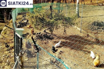 Siatki Kluczbork - Siatka na woliery - zabezpieczenia ptaków w hodowli dla terenów Kluczborka