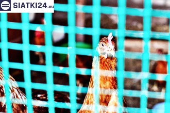Siatki Kluczbork - Siatka na woliery - zabezpieczenia ptaków w hodowli dla terenów Kluczborka